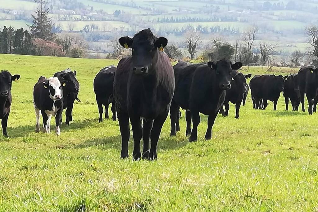 Corderry Farmhouse, Idyllic Cottage Amid 250 Acres Lisvernane Extérieur photo